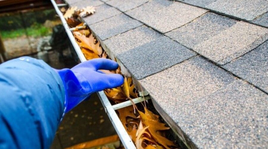 Gutter Cleaning Services in St. John’s – Professional Cleaners